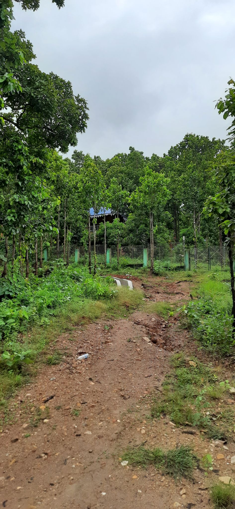Photo of Jhilimili Forest Office by Curvy_bongshell