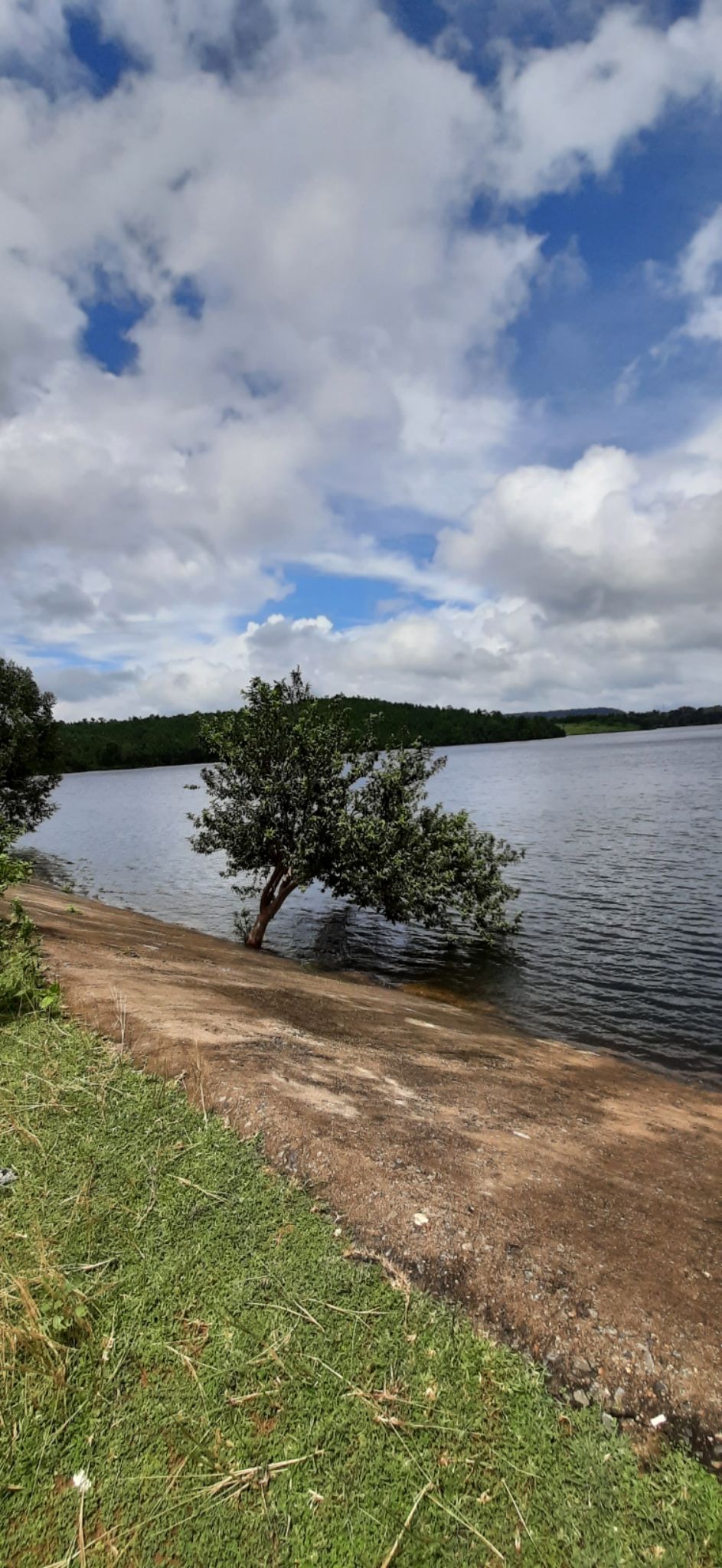 Photo of Talberiya Dam (তালবেড়িয়া জলাধার), Talberiya Road, Rautara, West Bengal, India by Curvy_bongshell