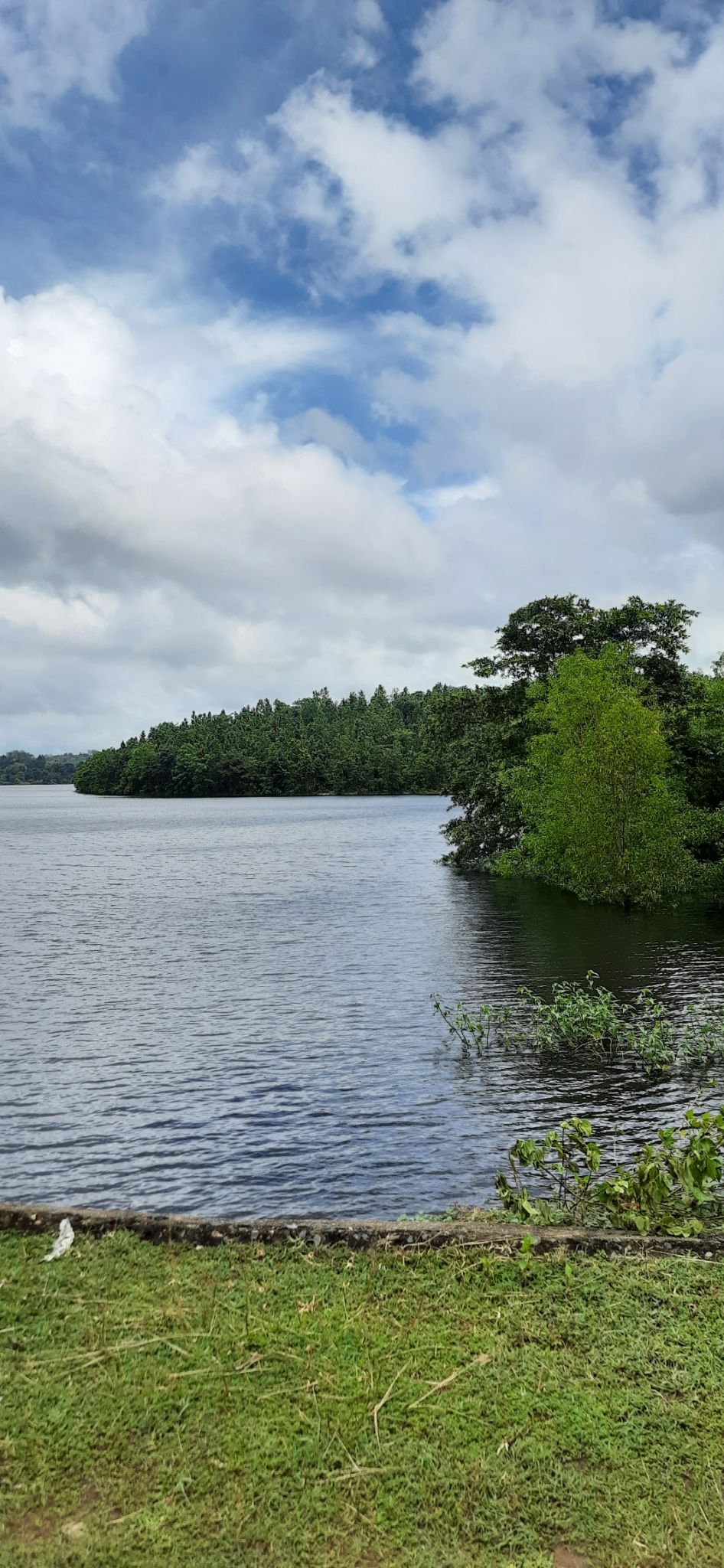 Photo of Talberiya Dam (তালবেড়িয়া জলাধার), Talberiya Road, Rautara, West Bengal, India by Curvy_bongshell