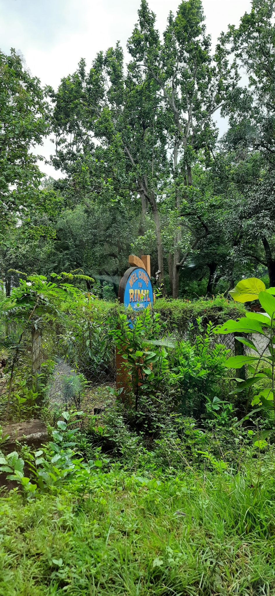 Photo of Jhilimili Forest Office by Curvy_bongshell