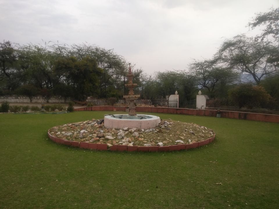 Photo of Sariska National Park, Alwar, Rajasthan, India by Anend_anewbeginning
