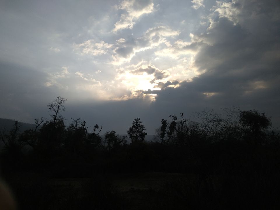 Photo of Sariska Tiger Reserve, Alwar, Ganeshpura With Rundh Kali Ghati, Rajasthan, India by Anend_anewbeginning