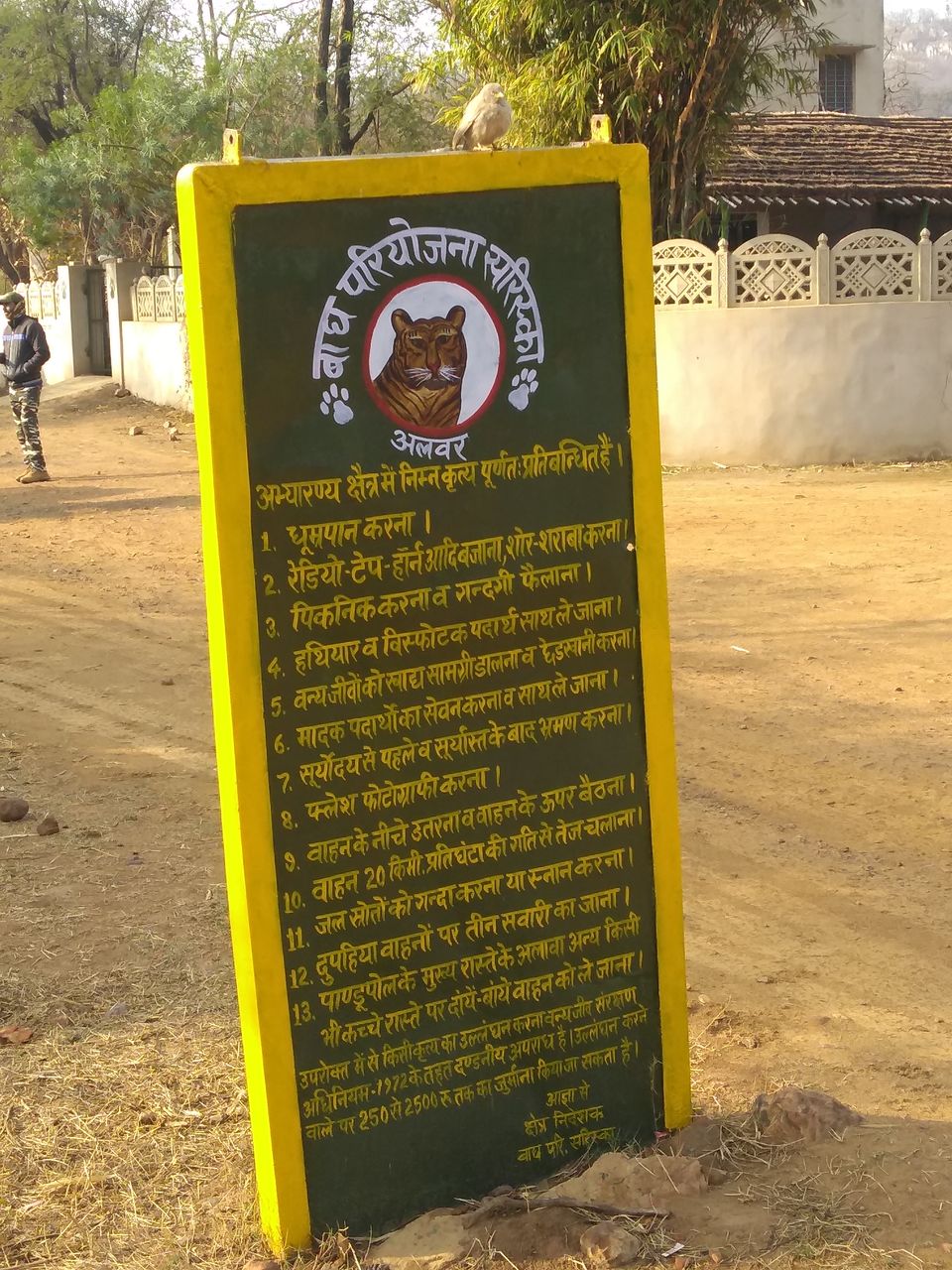 Photo of Sariska Tiger Reserve, Alwar, Ganeshpura With Rundh Kali Ghati, Rajasthan, India by Anend_anewbeginning