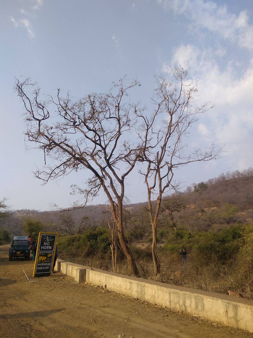 Photo of Sariska Tiger Reserve, Alwar, Ganeshpura With Rundh Kali Ghati, Rajasthan, India by Anend_anewbeginning