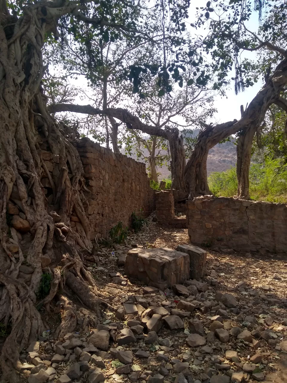 Photo of Bhangarh Fort, Bhangarh, Rajasthan, India by Samapti Das | @curvy_bongshell