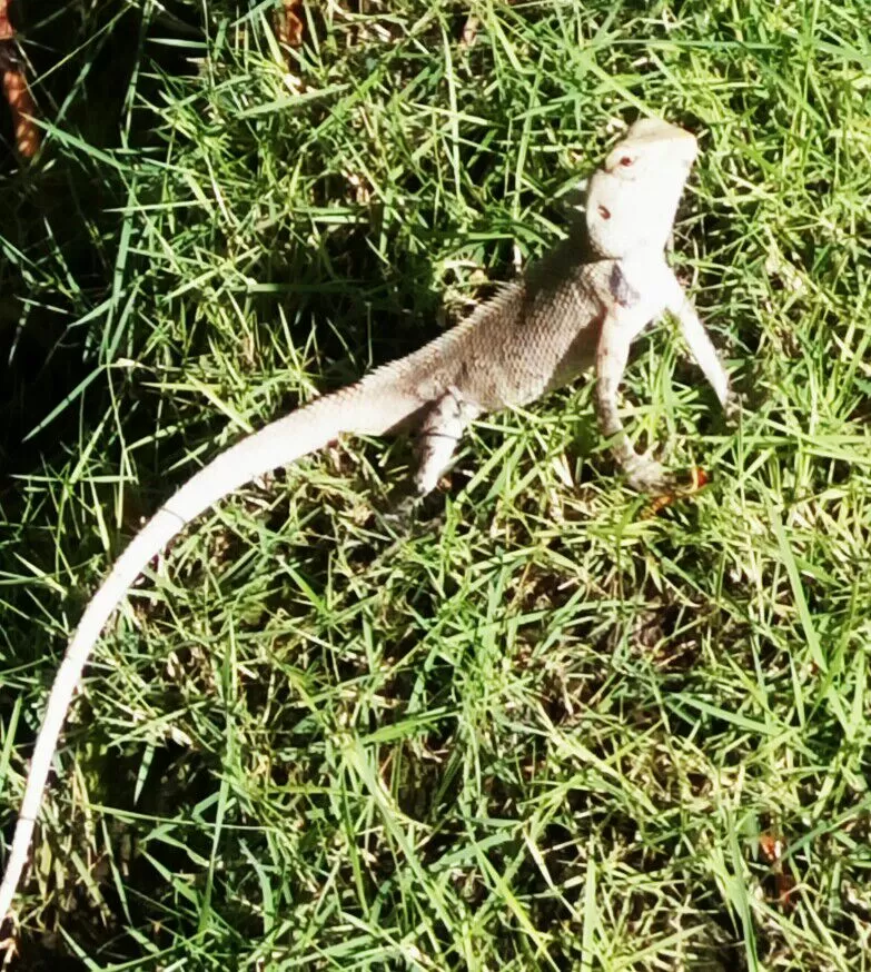 Photo of Club Med Kani, Maldives by Samapti Das | @curvy_bongshell