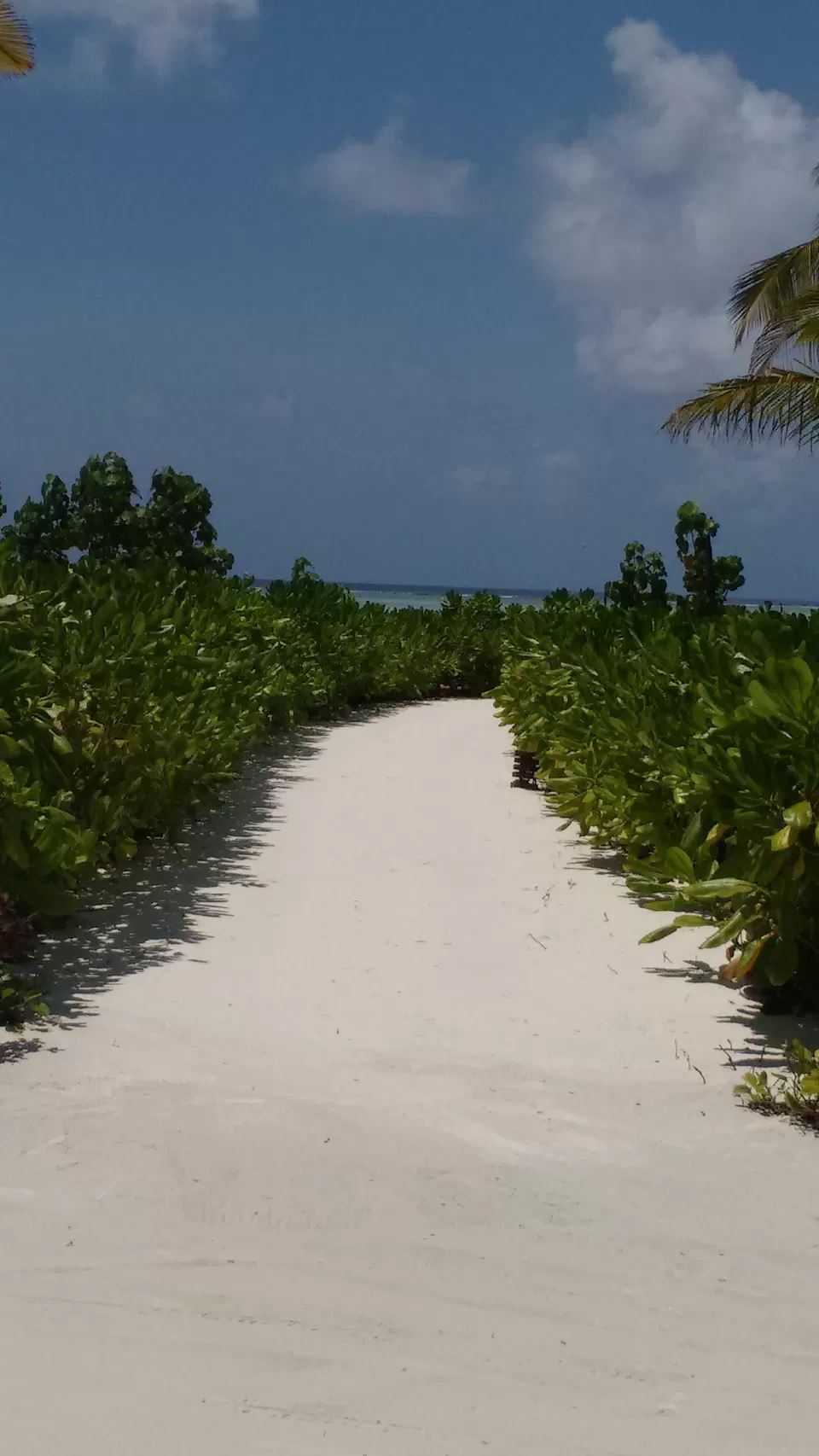Photo of Club Med Finolhu Villas, Maldives by Samapti Das | @curvy_bongshell