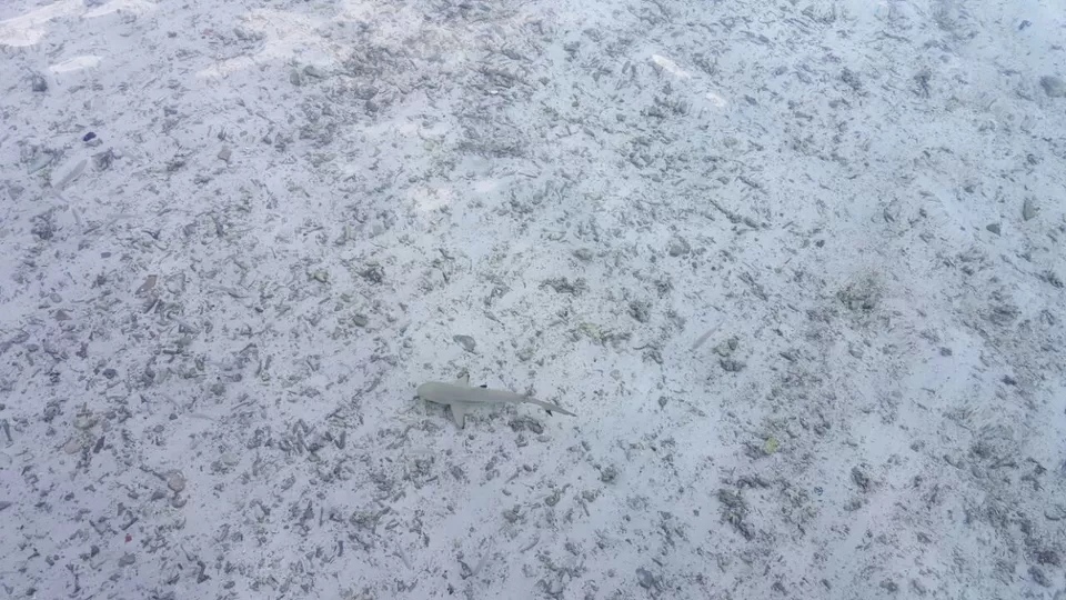 Photo of Club Med Kani, Maldives by Samapti Das | @curvy_bongshell