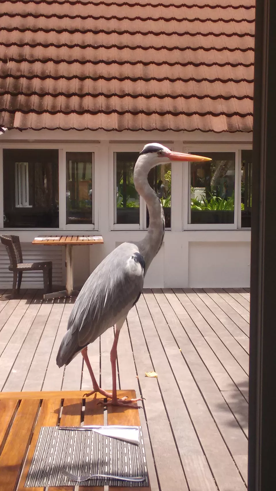 Photo of Club Med Kani, Maldives by Samapti Das | @curvy_bongshell