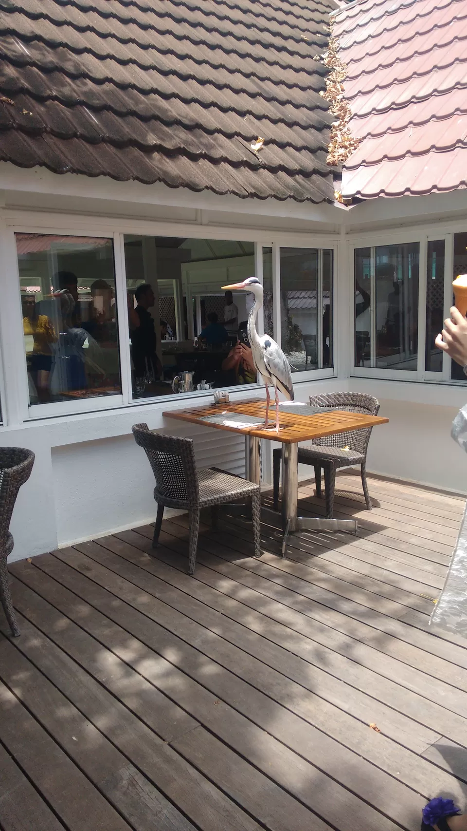 Photo of Club Med Kani, Maldives by Samapti Das | @curvy_bongshell