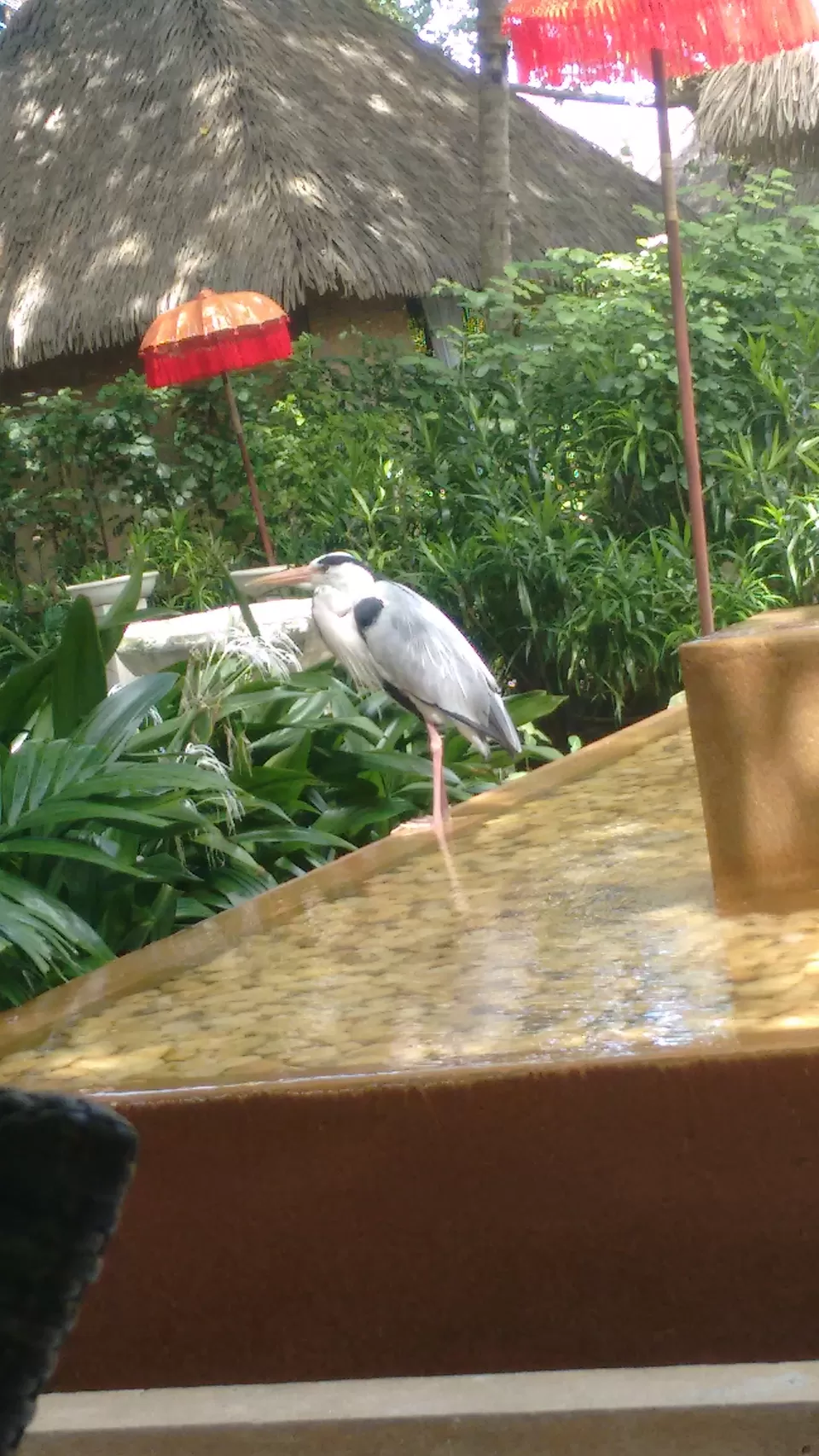 Photo of Club Med Kani, Maldives by Samapti Das | @curvy_bongshell