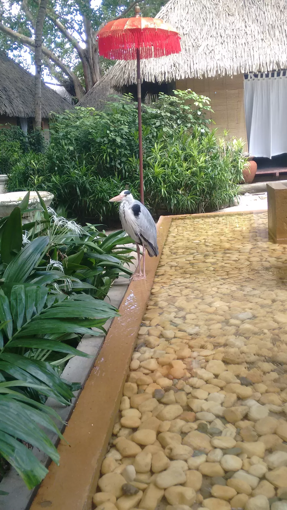 Photo of Club Med Kani, Maldives by Samapti Das | @curvy_bongshell