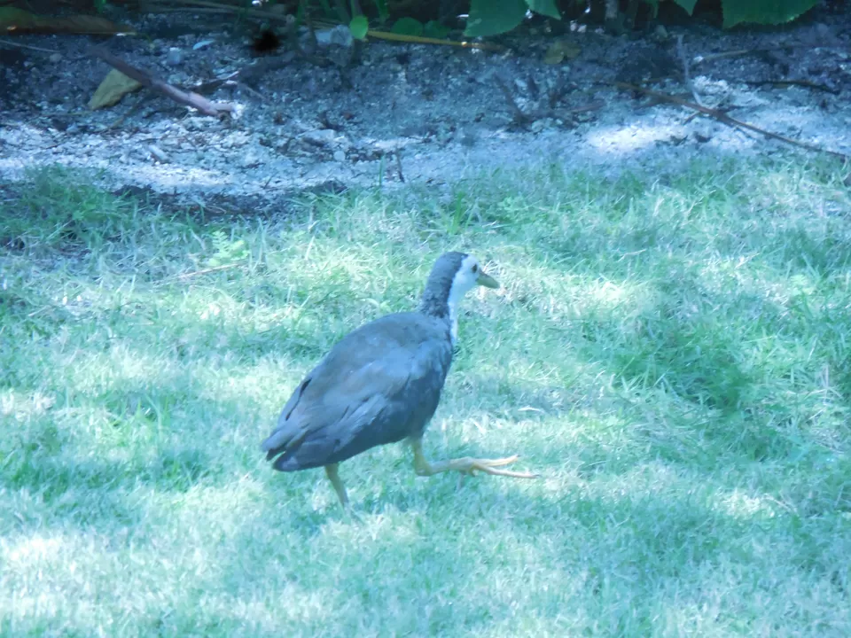 Photo of Club Med Kani, Maldives by Samapti Das | @curvy_bongshell