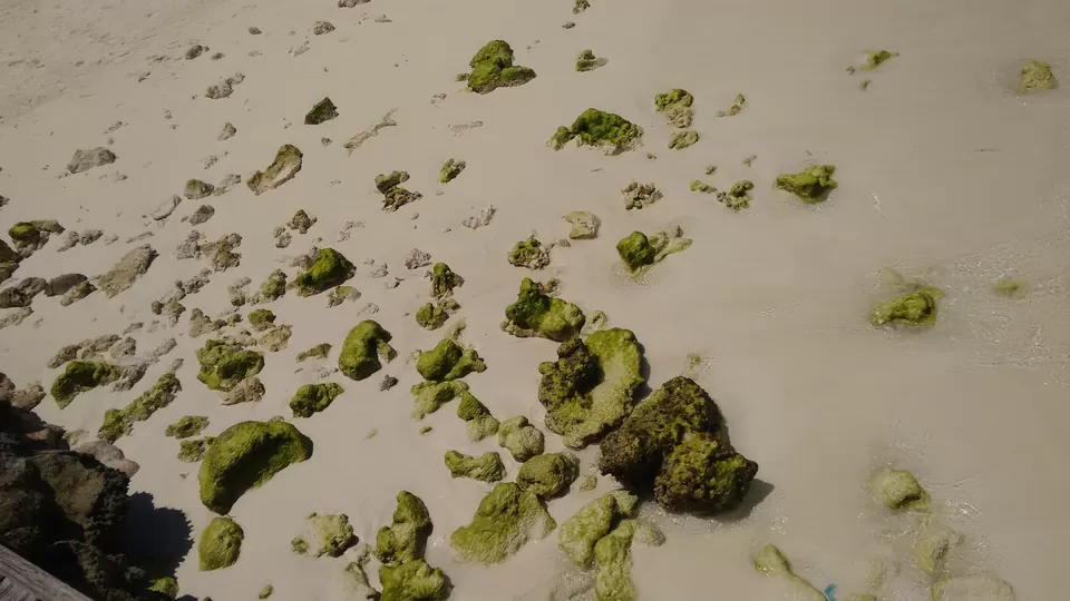 Photo of Club Med Kani, Maldives by Samapti Das | @curvy_bongshell