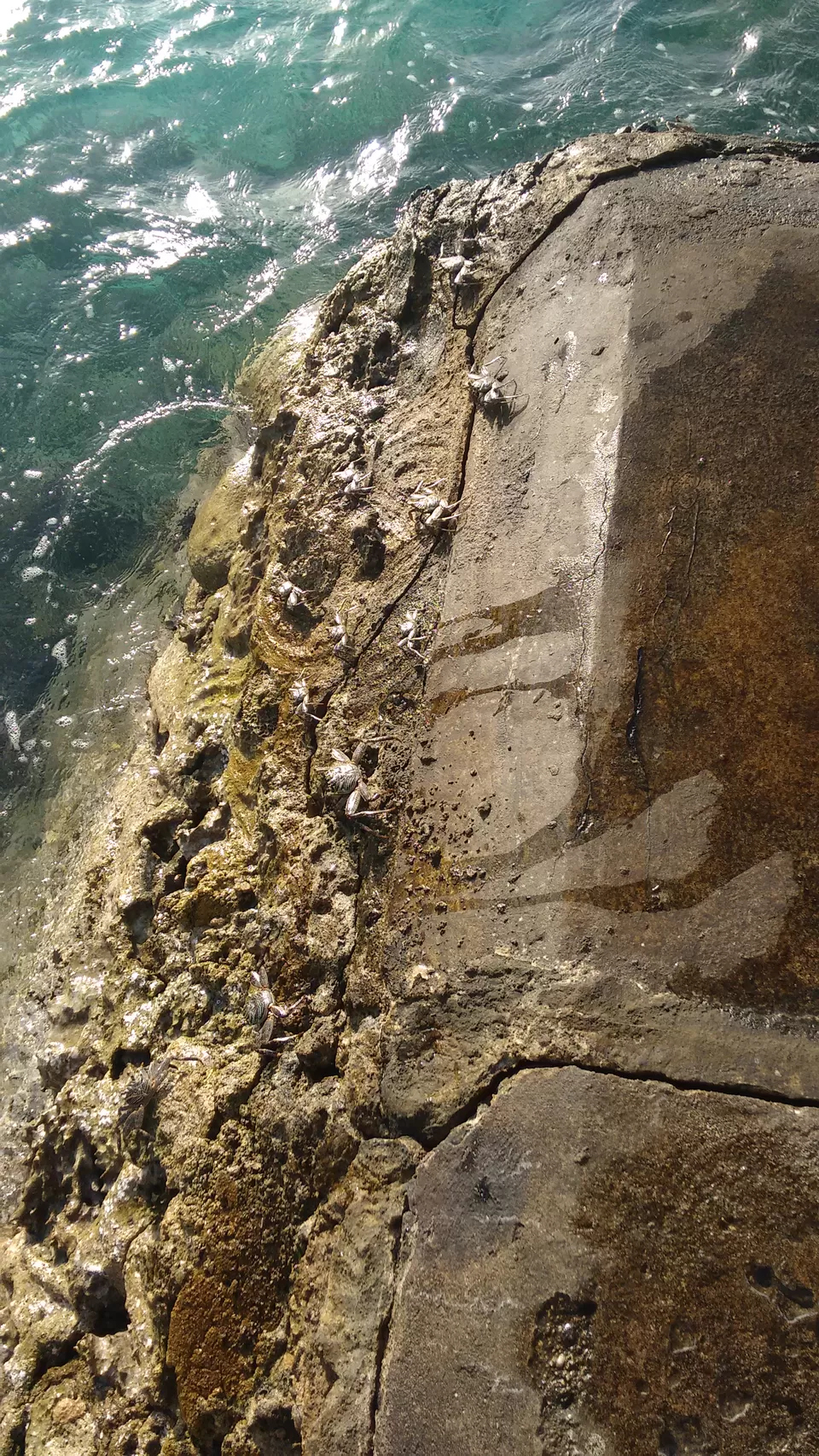 Photo of Club Med Kani, Maldives by Samapti Das | @curvy_bongshell