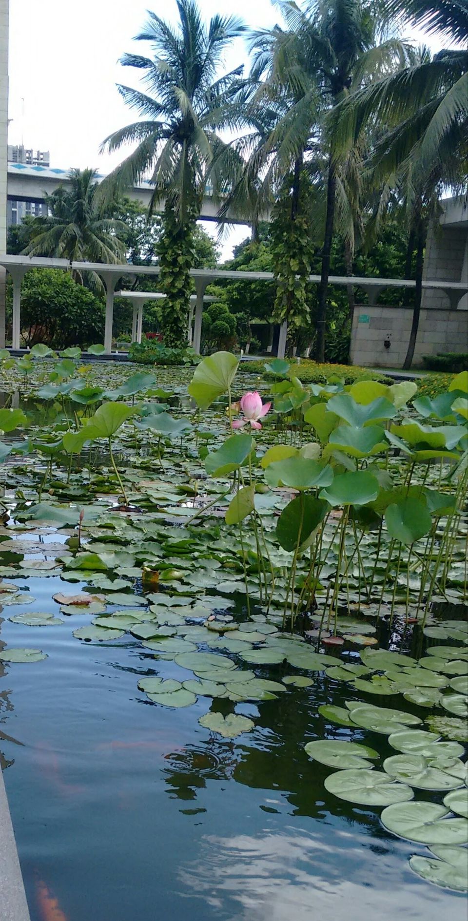Photo of ITC Sonar Bangla, JBS Haldane Avenue, Tangra, Calcutta, West Bengal, India by Anend_anewbeginning