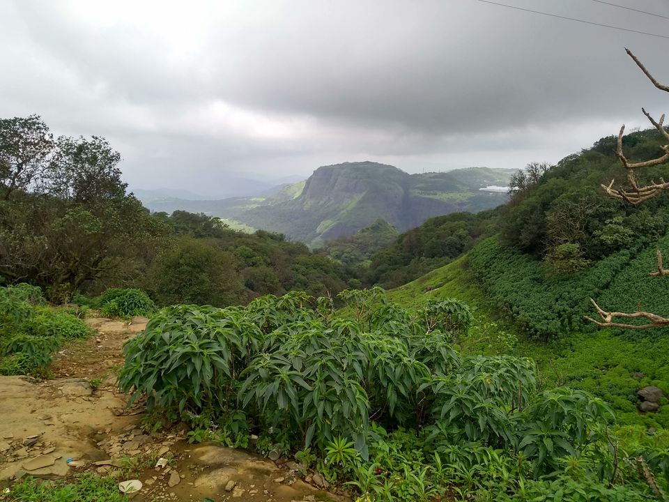 Photo of This is why Pune and surroundings are perfect monsoon destinations!!! by Curvy_bongshell