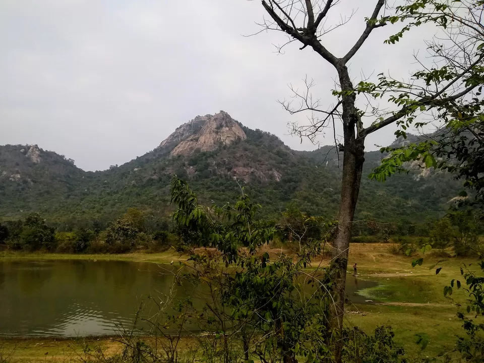 Photo of Bamni Falls, Ajodhya Hills Road, Barria, West Bengal, India by Samapti Das | @curvy_bongshell