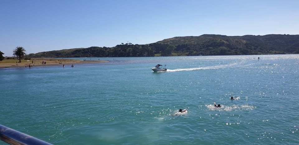 Photo of A Day In Raglan(NZ) by ShaiFali BhAtt