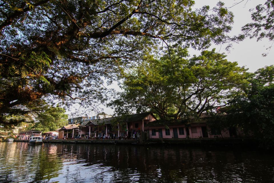 Photo of Alappuzha, Kerala, India by Alben Michael