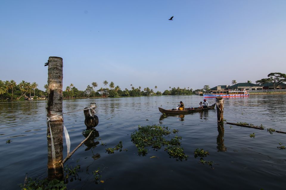 Photo of Alappuzha, Kerala, India by Alben Michael