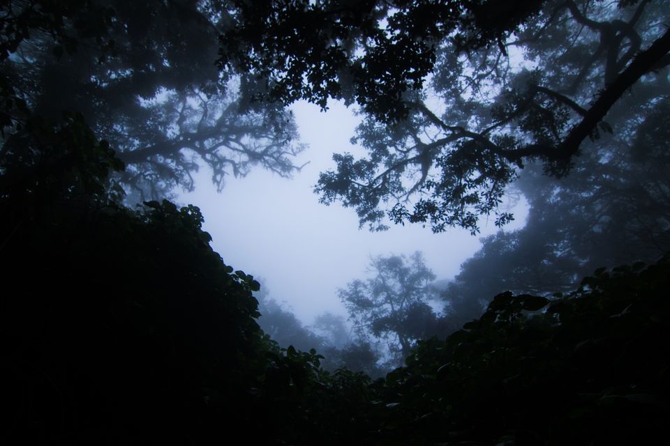 Photo of Amazing Trip by Alben Michael