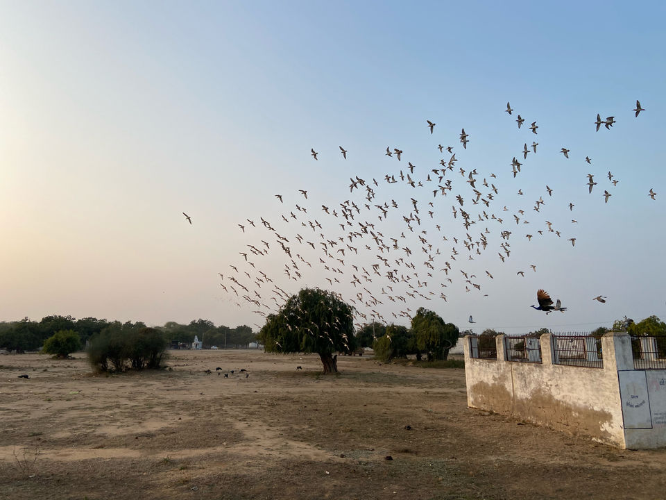 Photo of Bhuj, Gujarat, India by Geo Sunny