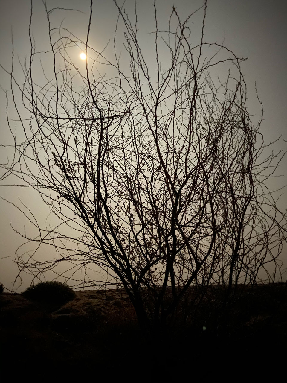 Photo of Bhuj, Gujarat, India by Geo Sunny