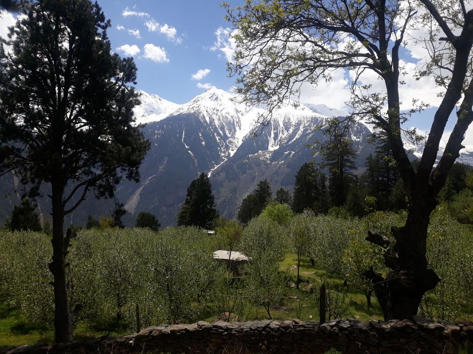 Photo of Reckong Peo, Himachal Pradesh, India by Mohit Sharma