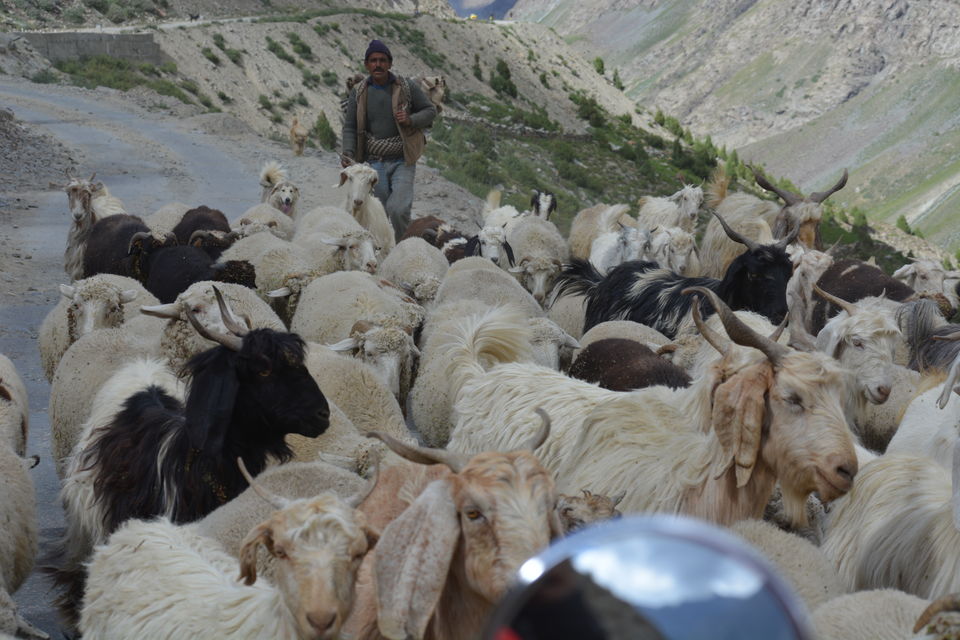 Photo of Keylong, Himachal Pradesh, India by gaurav srivastava