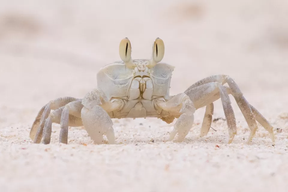 Photo of Kavaratti, Lakshadweep, India by Prathap Gangireddy