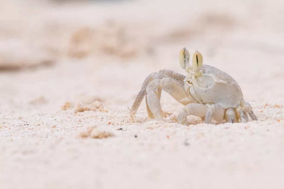 Photo of Kavaratti, Lakshadweep, India by Prathap Gangireddy