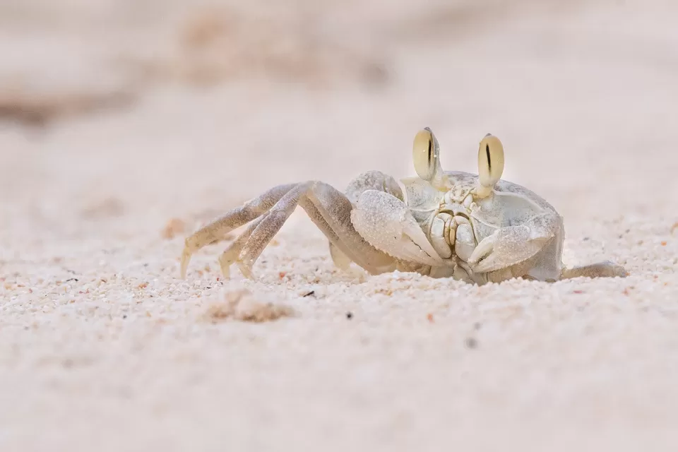 Photo of Kavaratti, Lakshadweep, India by Prathap Gangireddy