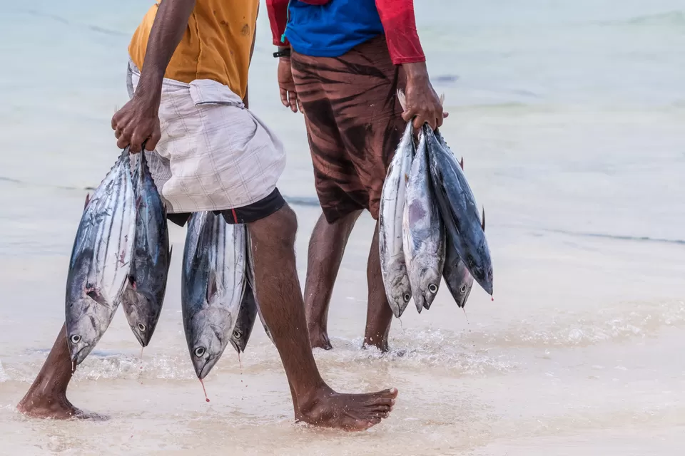 Photo of Kavaratti, Lakshadweep, India by Prathap Gangireddy