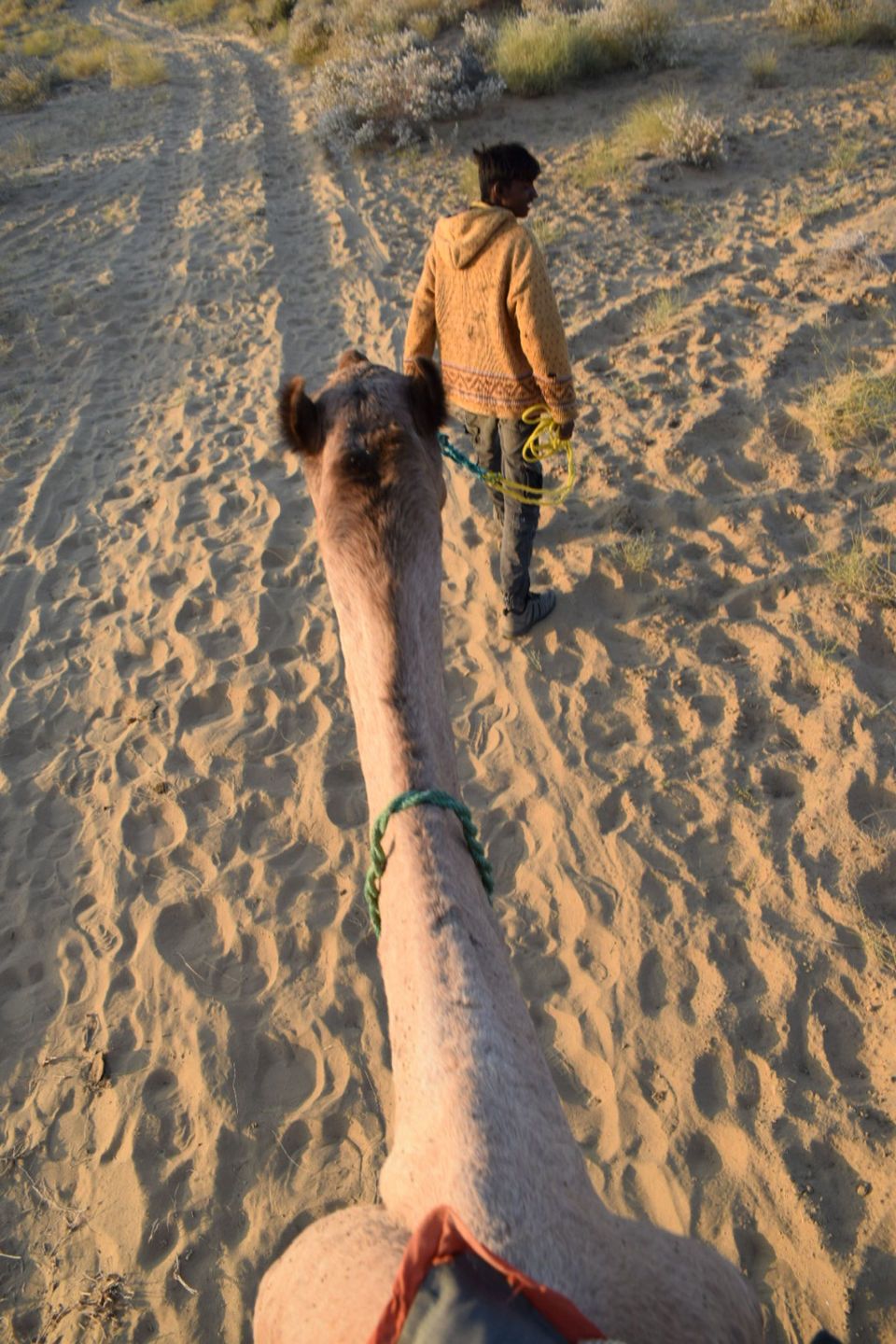 Photo of Trip To Jaisalmer In Winters by Deepak Verma