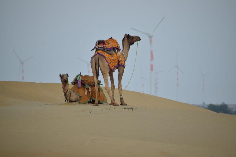 Photo of Trip To Jaisalmer In Winters by Deepak Verma