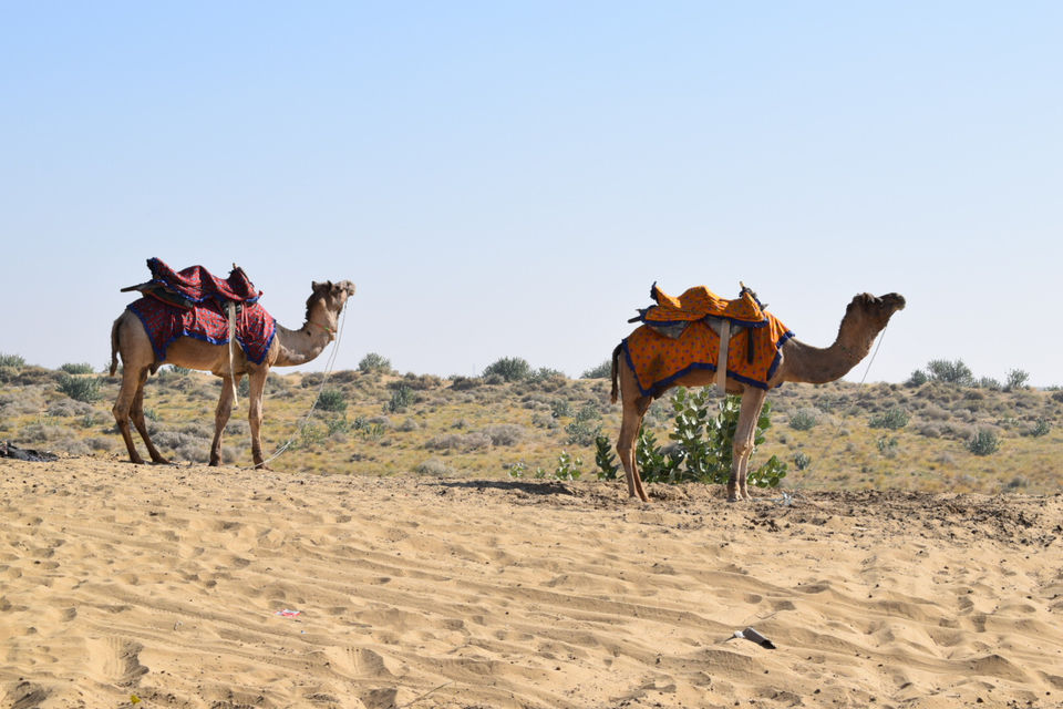 Photo of Trip To Jaisalmer In Winters by Deepak Verma