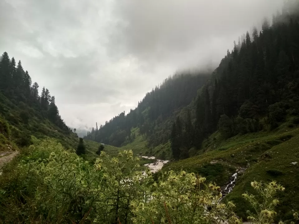 Photo of Magic Valley by Aditya Bhatia