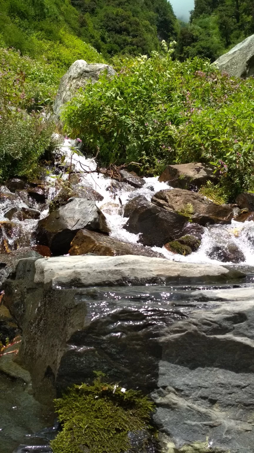 Photo of Magic Valley by Aditya Bhatia