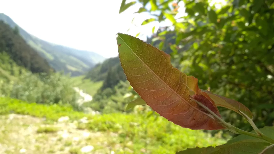 Photo of Magic Valley by Aditya Bhatia