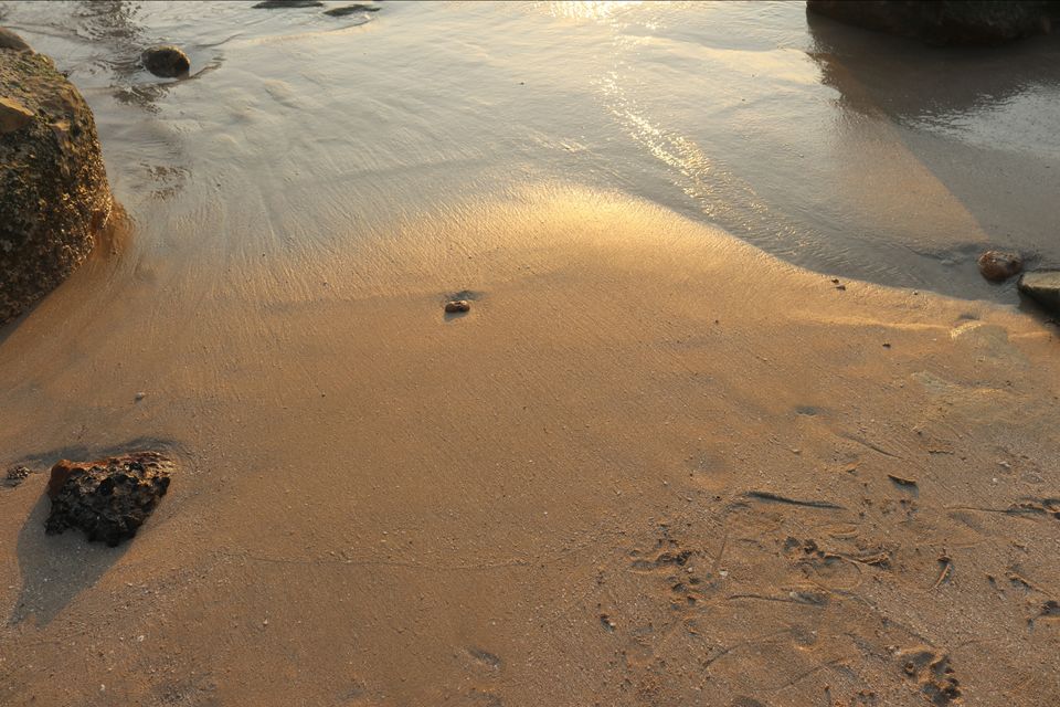 Photo of Bechtel Beach, Okhamadhi, Gujarat, India by Arpan Shah
