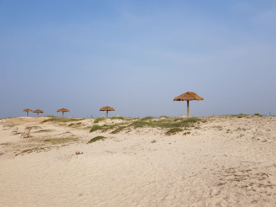 Photo of Shivrajpur Beach, Shivrajpur, Gujarat, India by Arpan Shah