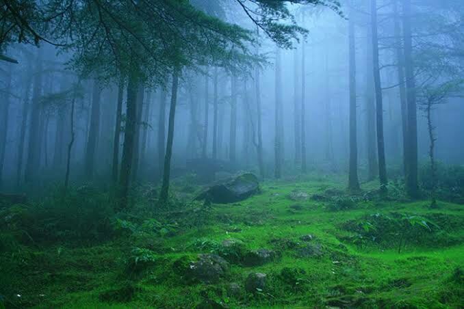 Photo of Lambasingi - 'The Kashmir of Andhra pradesh' by likith