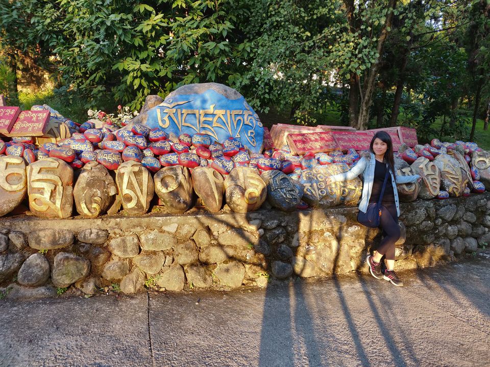 Photo of How trip to Bir made me realise I should quit my job 2/21 by Nidhi Saini