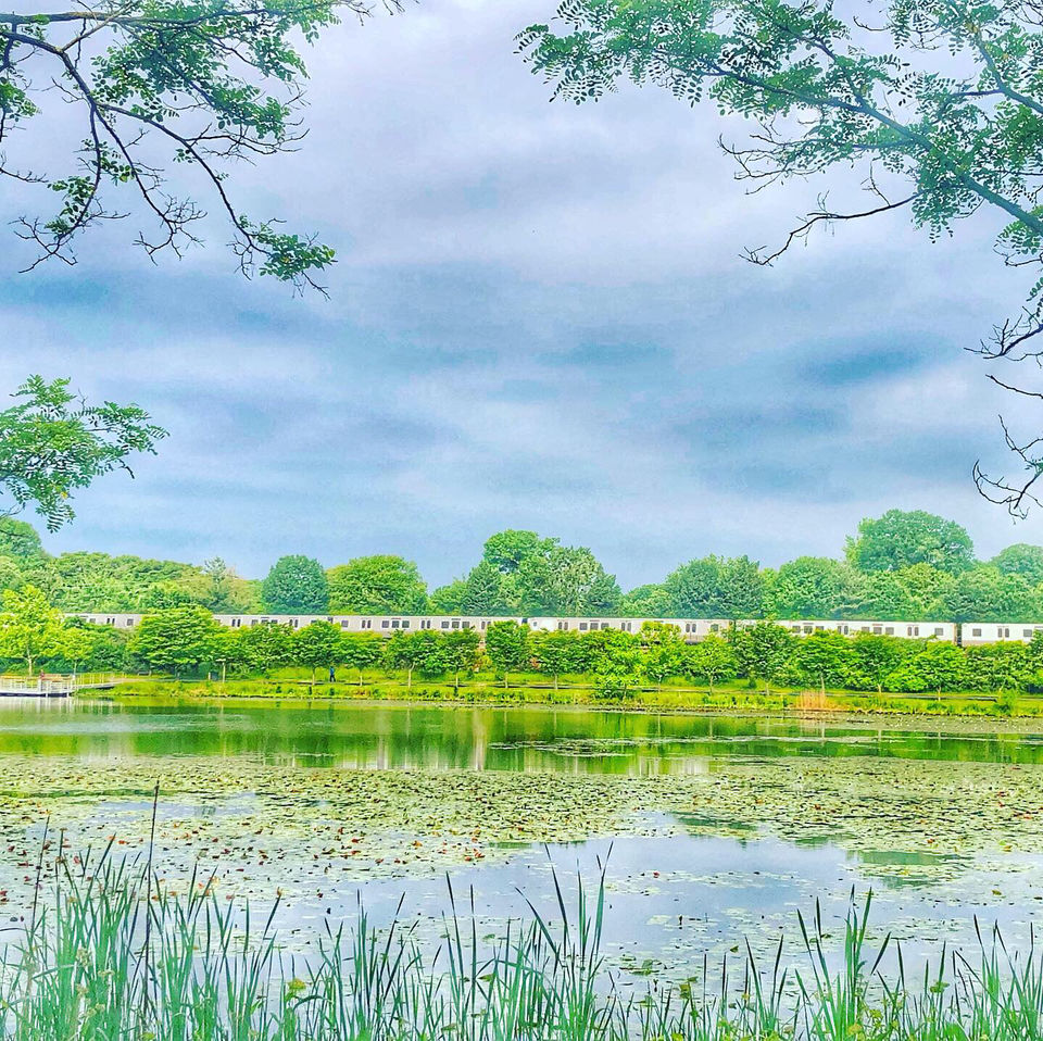Photo of Lake Artemesia, College Park, MD, USA by Saimyata Bailung
