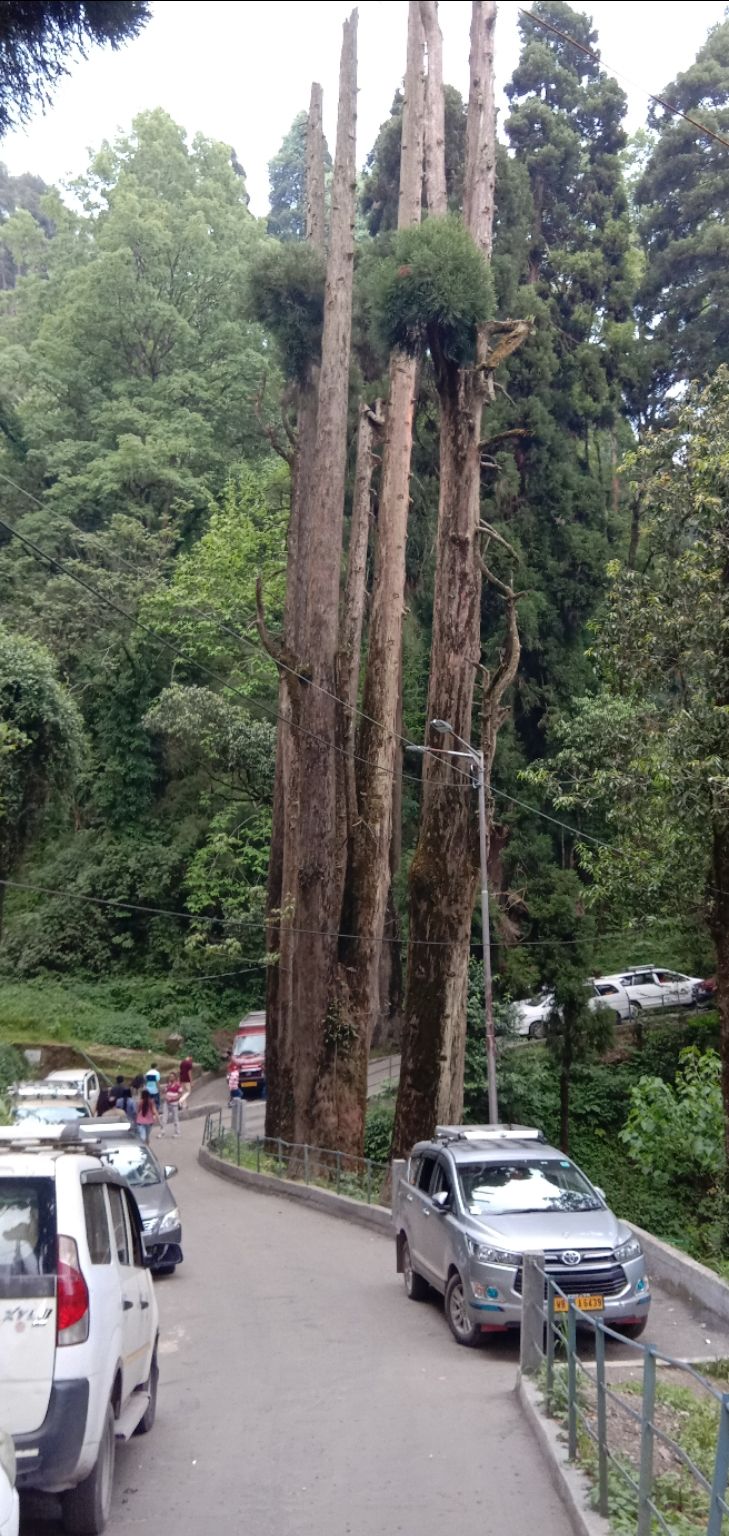 Photo of Darjeeling, with love by Adrita Choudhury