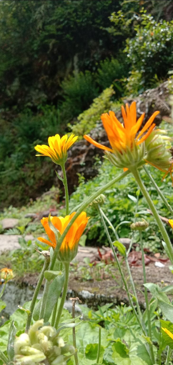 Photo of Darjeeling, with love by Adrita Choudhury
