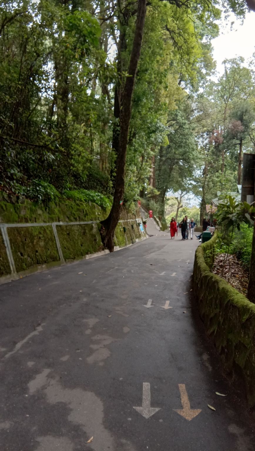 Photo of Darjeeling, with love by Adrita Choudhury