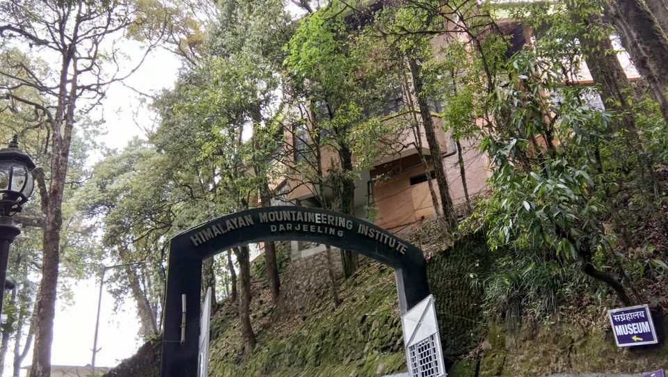 Photo of Darjeeling, with love by Adrita Choudhury