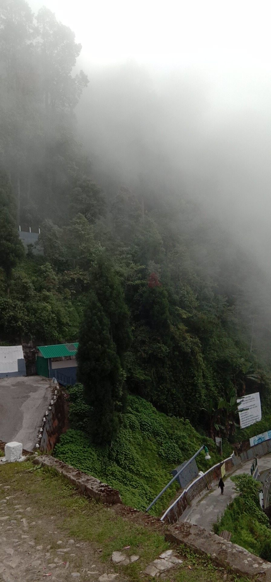 Photo of Darjeeling, with love by Adrita Choudhury